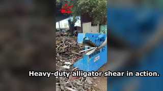 Powerful alligator shear cutting scrap metal with high efficiency.
