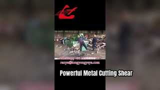 Q43-2500 Alligator shear